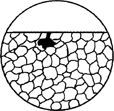 Структура питтинговой коррозии